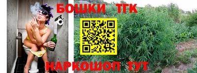 СК Славгород