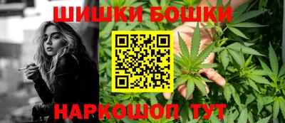 СК Славгород