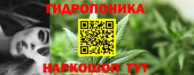 трава Славянск-на-Кубани