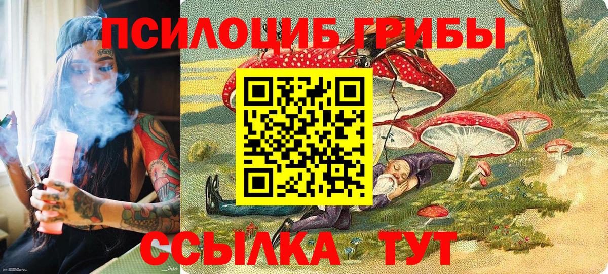 Псилоцибиновые грибы MAGIC MUSHROOMS Октябрьский